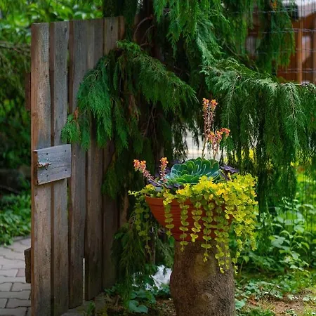 Goralski Polaniorka Chalet *