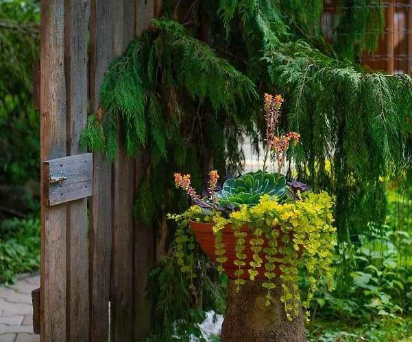 Goralski Polaniorka Chalet *